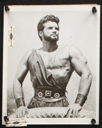 1x826 STEVE REEVES 5 8x10 stills '60 barechested sword & sandal images from Hercules Unchained!
