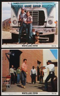 1x044 WHITE LINE FEVER 8 8x10 mini LCs '75 truck driver Jan-Michael Vincent, Kay Lenz!