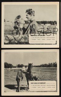 1x913 BLUE GRASS OF KENTUCKY 3 English FOH LCs '50 Bill Williams, great horse racing images!