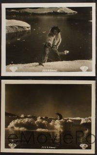 1y237 S.O.S. EISBERG set of 8 German LCs '33 Leni Riefenstahl & great iceberg & polar bear images!