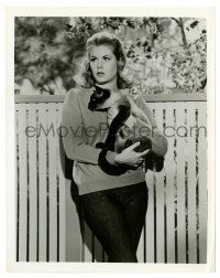 2d176 BEWITCHED TV 7.25x9 still '60s c/u of Elizabeth Montgomery holding Siamese cat!