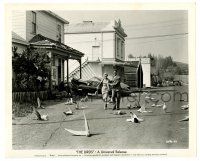 2d186 BIRDS 8.25x10 still '63 Rod Taylor & Tippi Hedren on street covered w/ dead birds, Hithccock