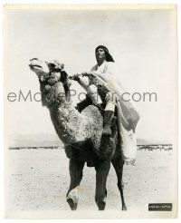 2d565 LAWRENCE OF ARABIA 8x10 key book still '62 Peter O'Toole riding camel side saddle, David Lean