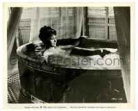 2d829 SOLOMON & SHEBA 8.25x10 still '59 super sexy Gina Lollobrigida naked in elaborate bathtub!
