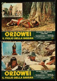 2e223 ORZOWEI IL FIGLIO DELLA SAVANA set of 2 Italian photobustas '76 Stanley Baker, jungle action!
