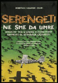 2e470 SERENGETI Yugoslavian 19x27 '60 savage Africa in the raw, zebra striped aircraft!