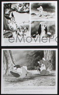 2g979 FOX & THE HOUND presskit w/ 3 stills R88 they didn't know they were supposed to be enemies!