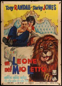 2j181 FLUFFY Italian 1p '65 Casaro art of huge lion & Tony Randall w/pretty Shirley Jones!