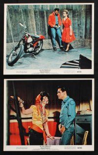 2k175 ROUSTABOUT 2 color 8x10 stills '64 great images of Elvis Presley, rock 'n' roll!