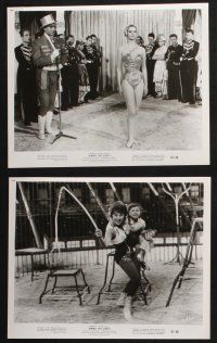 2k342 BIMBO THE GREAT 12 8x10 stills '61 Rivalen der Manege, German circus, big top images!