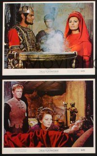 2k044 FALL OF THE ROMAN EMPIRE 9 color 8x10 stills '64 Anthony Mann, Sophia Loren, cool images!