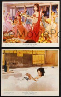 2k014 JOHN GOLDFARB, PLEASE COME HOME 12 color 8x10 stills '64 Shirley MacLaine, Richard Crenna