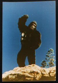 2k005 KING KONG LIVES 17 color Dutch 7.25x10.5 stills '86 many great images of huge unhappy ape!