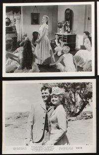 2k185 OKLAHOMA 31 8x10 stills '56 Gordon MacRae, Shirley Jones, Rodgers & Hammerstein musical!