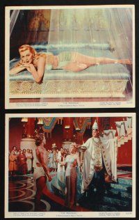 2k017 PRODIGAL 12 color 8x10 stills '55 sexiest Biblical Lana Turner & Edmond Purdom!