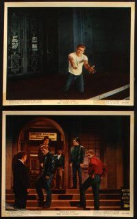 2k124 REBEL WITHOUT A CAUSE 6 color 8x10 stills '55 images of James Dean + great kneeling scene!