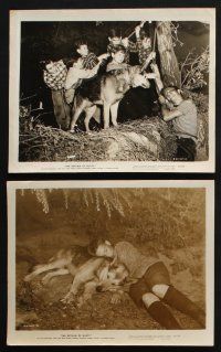 2k359 RETURN OF RUSTY 12 8x10 stills '46 great images of boy and his beloved German Shepherd dog!