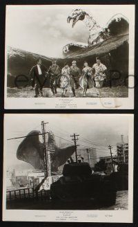 2k940 RODAN 3 8x10 stills '57 great special effects images of The Flying Monster destroying Fukuoka!