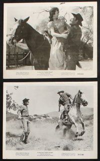 2k563 SADDLE TRAMP 8 8x10 stills '50 cool western images of Joel McCrea, Wanda Hendrix!
