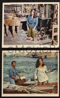 2k110 SANDPIPER 7 color 8x10 stills '65 Elizabeth Taylor, Richard Burton, Charles Bronson!