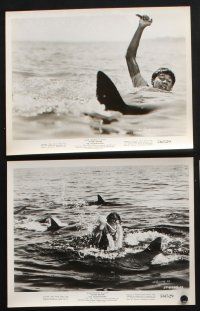 2k264 SHARKFIGHTERS 16 8x10 stills '56 Victor Mature, Karen Steele, James Olson, shark action!
