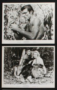 2k583 TARZAN & THE VALLEY OF GOLD 8 8x10 stills '66 cool jungle action images of Mike Henry!