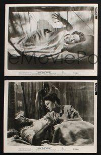 2k891 WHITE WITCH DOCTOR 4 8x10 stills '53 images of gorgeous Susan Hayward in Africa!