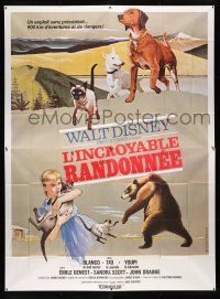 2p345 INCREDIBLE JOURNEY French 4p '63 Disney, Bull Terrier, Siamese cat & Labrador Retriever!