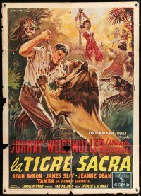 2p328 VOODOO TIGER Italian 1p '55 Capitani art of Johnny Weissmuller as Jungle Jim attacking lion!