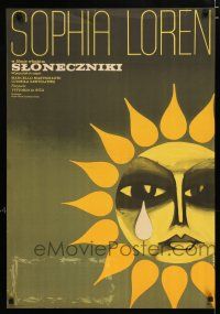 2s204 SUNFLOWER Polish 23x33 '70 De Sica's I Girasoli, Loren, Mastroianni, Wiktor Gorka art!