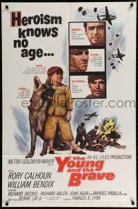 2t989 YOUNG & THE BRAVE 1sh '63 Rory Calhoun, William Bendix, art of heroic boy & German Shepherd!