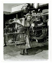 2z398 GOLDEN BLADE candid 8.25x10 still '53 Piper Laurie with chicken cages on Bagdad market set!