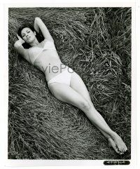 2z740 RAQUEL WELCH 8x10 still '66 sexiest portrait laying in skimpy bikini making Fantastic Voyage!