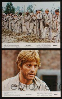 3d104 BRUBAKER 8 color 11x14 stills '80 warden Robert Redford is most wanted man in Wakefield prison