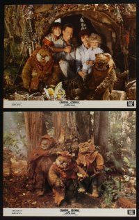 3d113 CARAVAN OF COURAGE 8 color 11x14 stills '84 George Lucas, An Ewok Adventure, Star Wars!