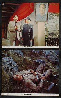 3d124 CHAIRMAN 8 color 11x14 stills '69 Intelligence can't keep Gregory Peck alive much longer!