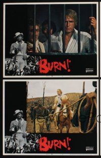 3d774 BURN 7 int'l LCs '70 Marlon Brando profiteers from war, directed by Gillo Pontecorvo!