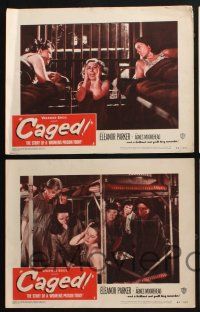 3d868 CAGED 4 LCs '50 Eleanor Parker is one of the women without men, except in their memories!