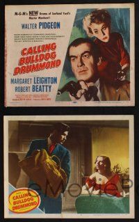 3d110 CALLING BULLDOG DRUMMOND 8 LCs '51 detective Walter Pidgeon, Margaret Leighton