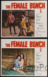 3d218 FEMALE BUNCH 8 LCs '71 cowby sex western, sexy bad girls, they live by their own rules!