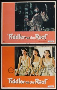 3d219 FIDDLER ON THE ROOF 8 LCs '71 Topol, Norma Crane, Leonard Frey, directed by Norman Jewison!
