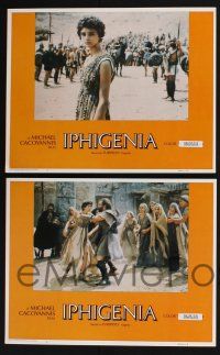 3d335 IPHIGENIA 8 LCs '78 Michael Cacoyannis' Ifigeneia, based on the tragedy by Euripides, Greek!