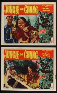 3d352 JUNGLE OF CHANG 8 LCs '51 Man och Kvinna, filmed midst the perils of wildest Siam!