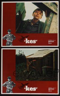 3d360 KES 8 LCs '70 Ken Loach, young David Bradley only cares about his kestrel falcon!
