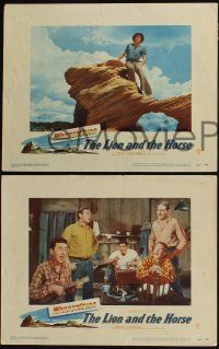3d394 LION & THE HORSE 8 LCs '52 images of Steve Cochran & Wildfire in the title role!