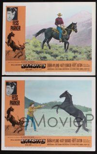 3d605 SMOKY 8 LCs '66 Diana Hyland, Fess Parker tames wild outlaw mustang!