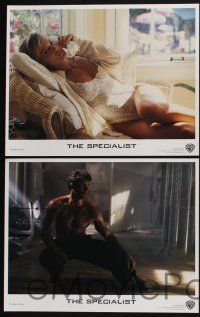 3d615 SPECIALIST 8 LCs '94 James Woods, Sylvester Stallone, super sexy Sharon Stone!