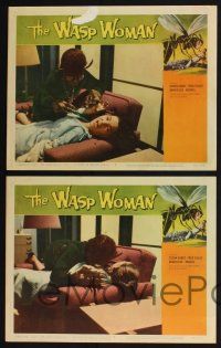 3d796 WASP WOMAN 7 LCs '59 great images of Susan Cabot as Roger Corman's lusting insect queen!