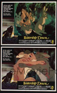 3d730 WATERSHIP DOWN 8 LCs '78 based on Richard Adams' best seller, cool bunny art!