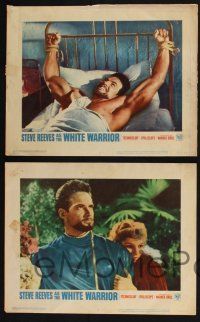 3d747 WHITE WARRIOR 8 LCs '61 great images of Steve 'Hercules' Reeves, Giorgia Moll!